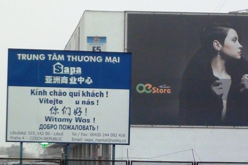 TTTM Obchodn a kulturn centrum Sapa - msto konn sjezdu Svazu Vietnamc v R